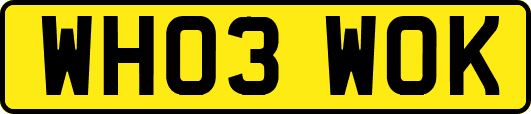 WH03WOK