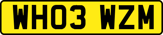 WH03WZM