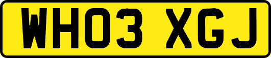 WH03XGJ