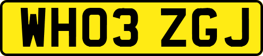 WH03ZGJ