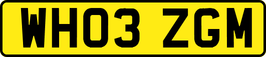 WH03ZGM