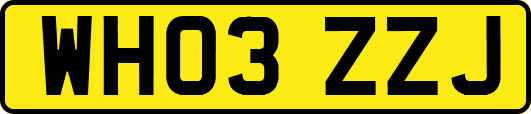 WH03ZZJ
