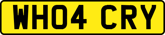 WH04CRY
