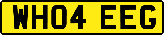 WH04EEG
