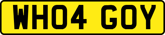 WH04GOY