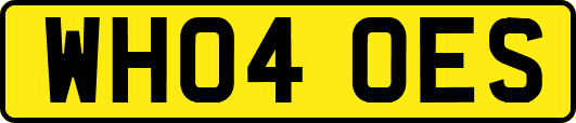 WH04OES