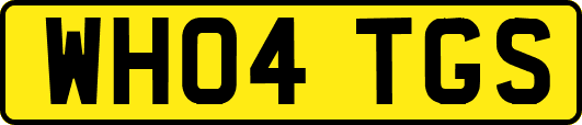 WH04TGS
