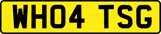 WH04TSG