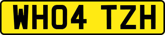 WH04TZH