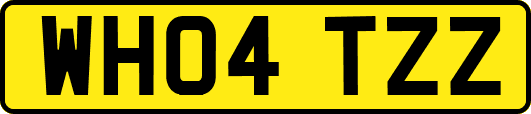 WH04TZZ
