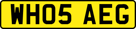WH05AEG