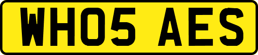 WH05AES