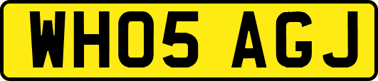 WH05AGJ
