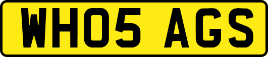 WH05AGS