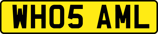 WH05AML