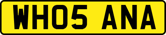 WH05ANA