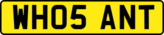 WH05ANT