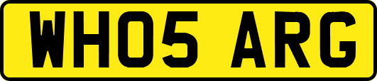 WH05ARG