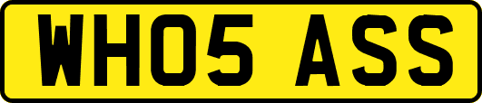 WH05ASS