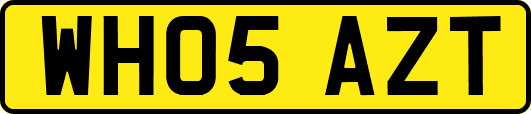 WH05AZT