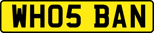 WH05BAN