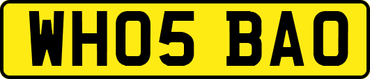 WH05BAO