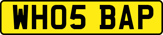 WH05BAP