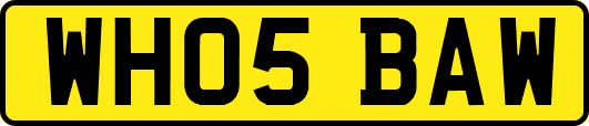 WH05BAW
