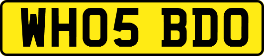 WH05BDO