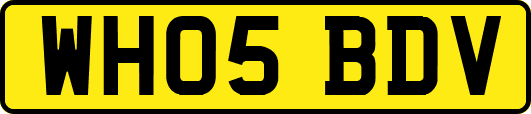 WH05BDV