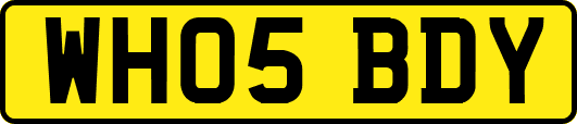 WH05BDY