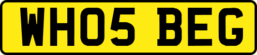 WH05BEG