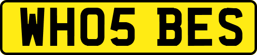 WH05BES