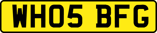 WH05BFG