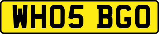 WH05BGO
