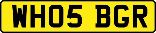 WH05BGR