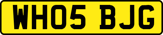 WH05BJG