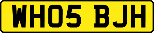 WH05BJH