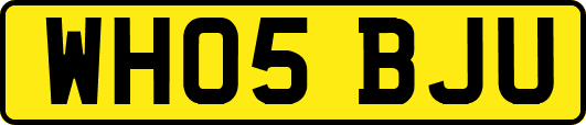 WH05BJU