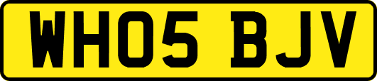 WH05BJV