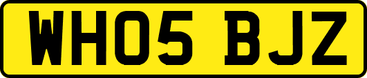 WH05BJZ