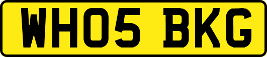 WH05BKG