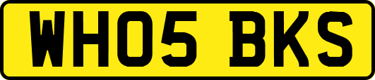WH05BKS