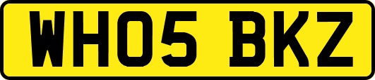 WH05BKZ