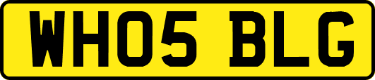 WH05BLG