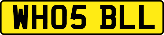 WH05BLL