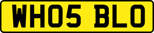 WH05BLO