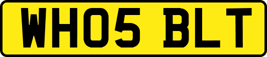 WH05BLT