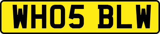 WH05BLW