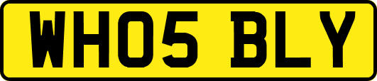 WH05BLY
